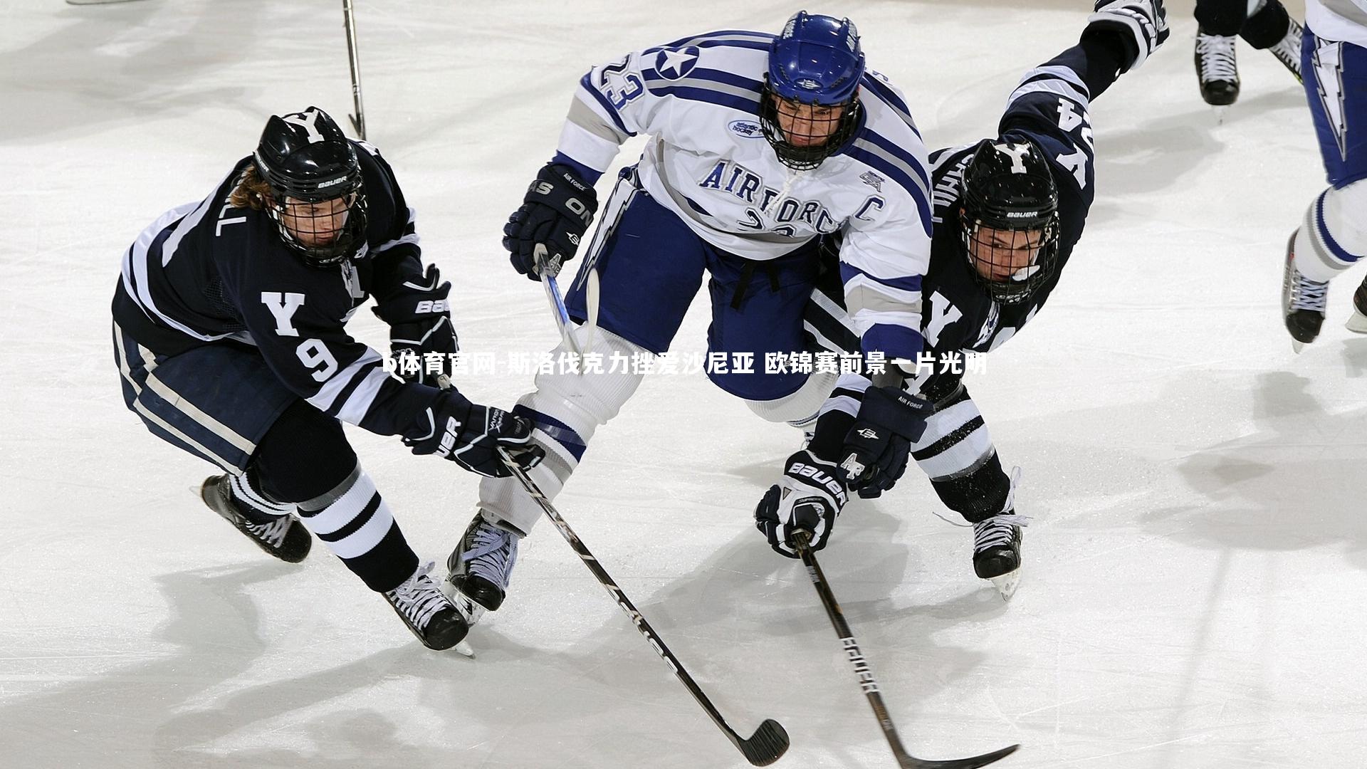 斯洛伐克力挫爱沙尼亚 欧锦赛前景一片光明