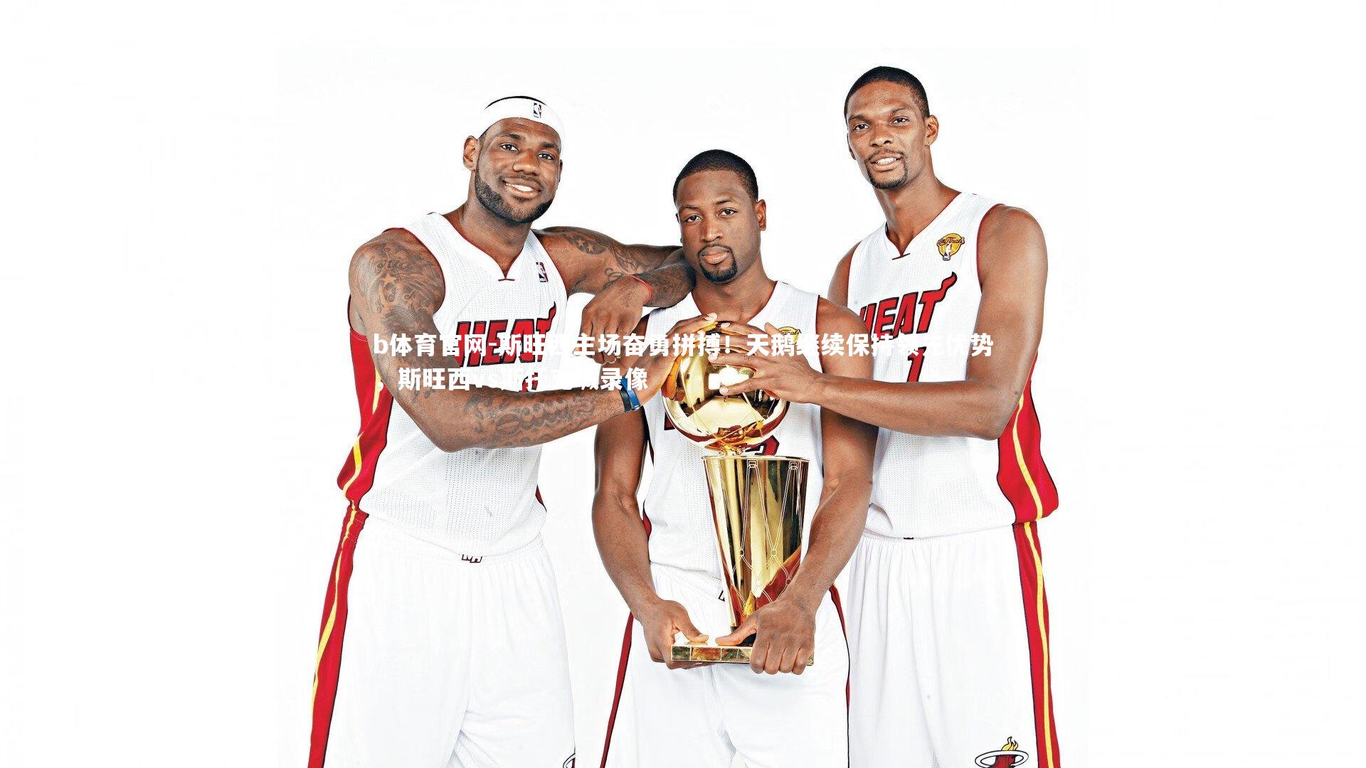 斯旺西主场奋勇拼搏!天鹅继续保持领先优势,斯旺西vs斯托克城录像