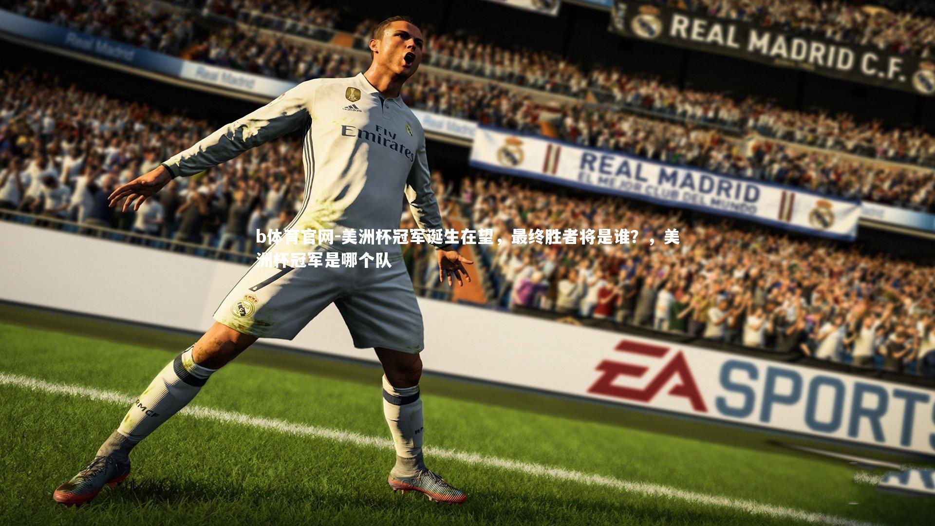 美洲杯冠军诞生在望,最终胜者将是谁?,美洲杯冠军是哪个队