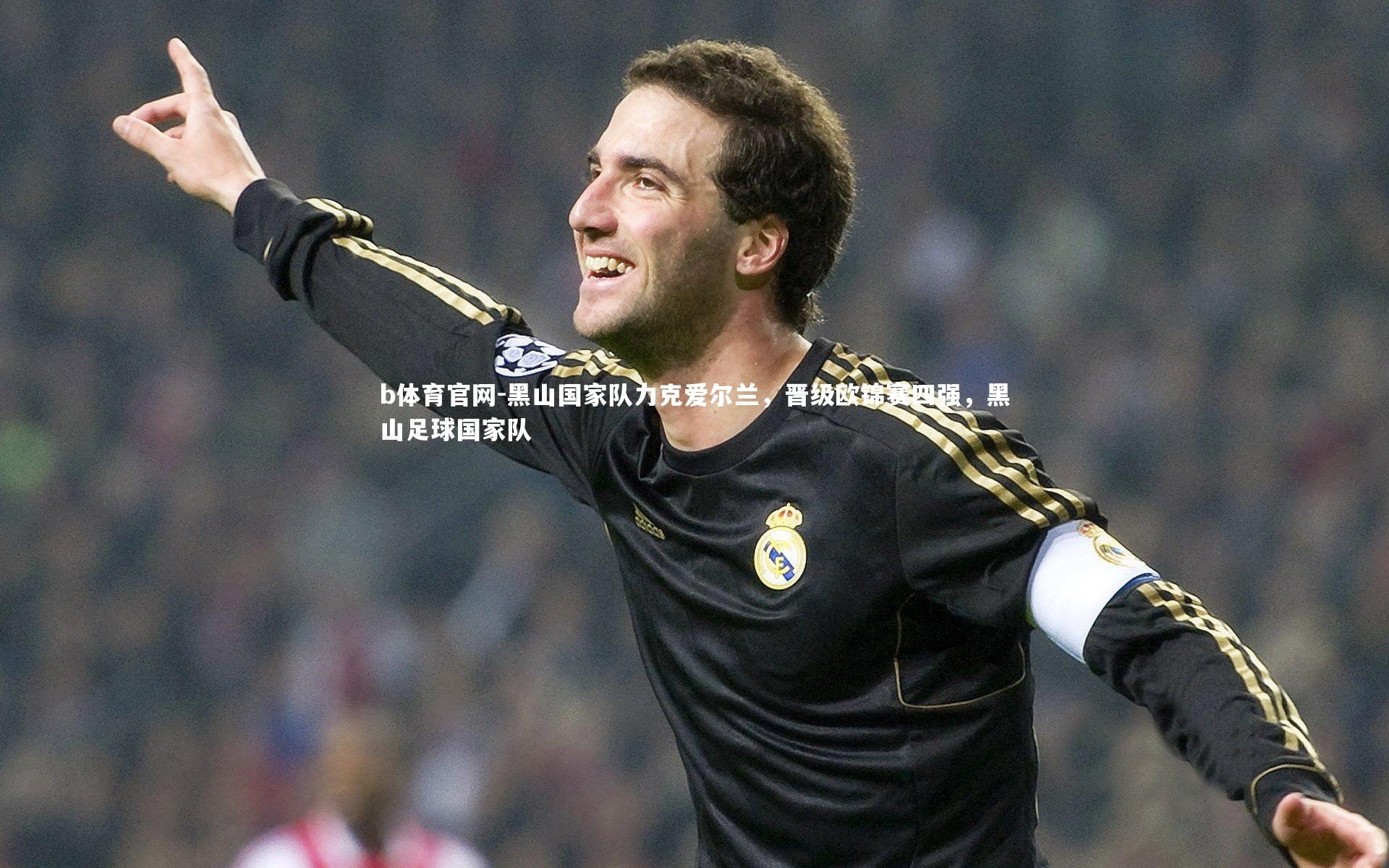 黑山国家队力克爱尔兰,晋级欧锦赛四强,黑山足球国家队