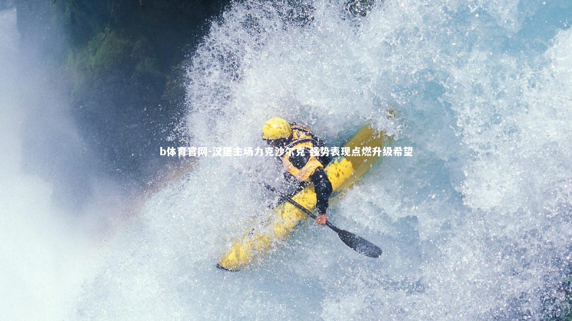 汉堡主场力克沙尔克 强势表现点燃升级希望